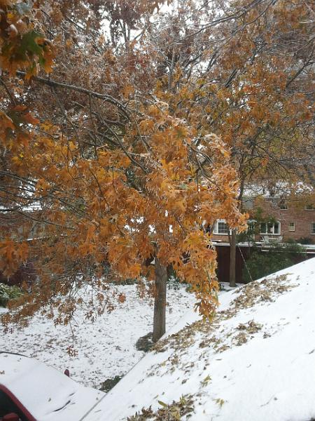 2013-12-07 10.57.29.jpg